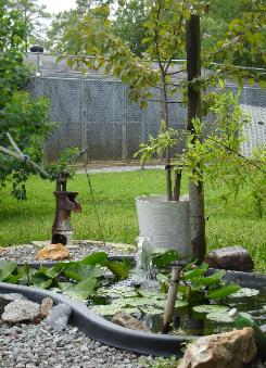 WILMINGTON NC, KENNEL,BOARDING, PET RESORT, A DOGS DREAM KENNEL