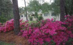 WILMINGTON, NC  KENNEL,BOARDING, A DOGS DREAM KENNEL, ENTRANCE